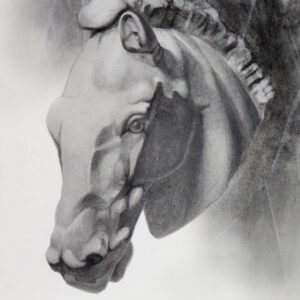 Realistic Horse Head Graphite Pencil Drawing Artwork