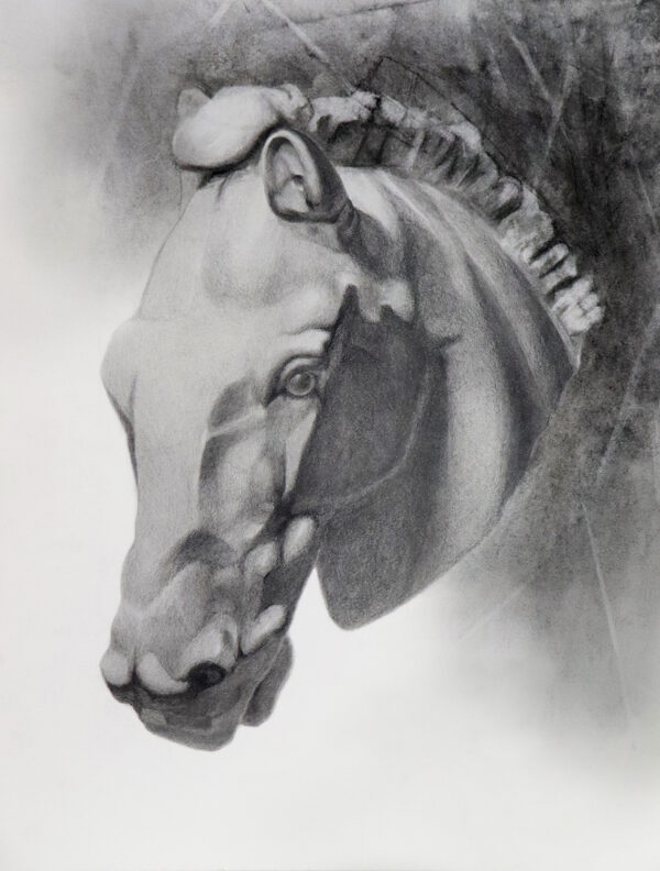 Realistic Horse Head Graphite Pencil Drawing Artwork